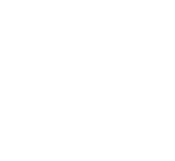 Text Box: c D v