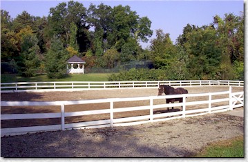 Country Contentment